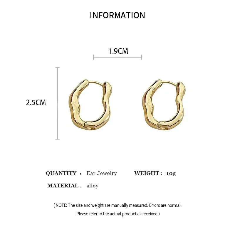 Irregular Geometric Metallic Hoop Earrings – Gold & Silver Color Fashion Jewelry for Women