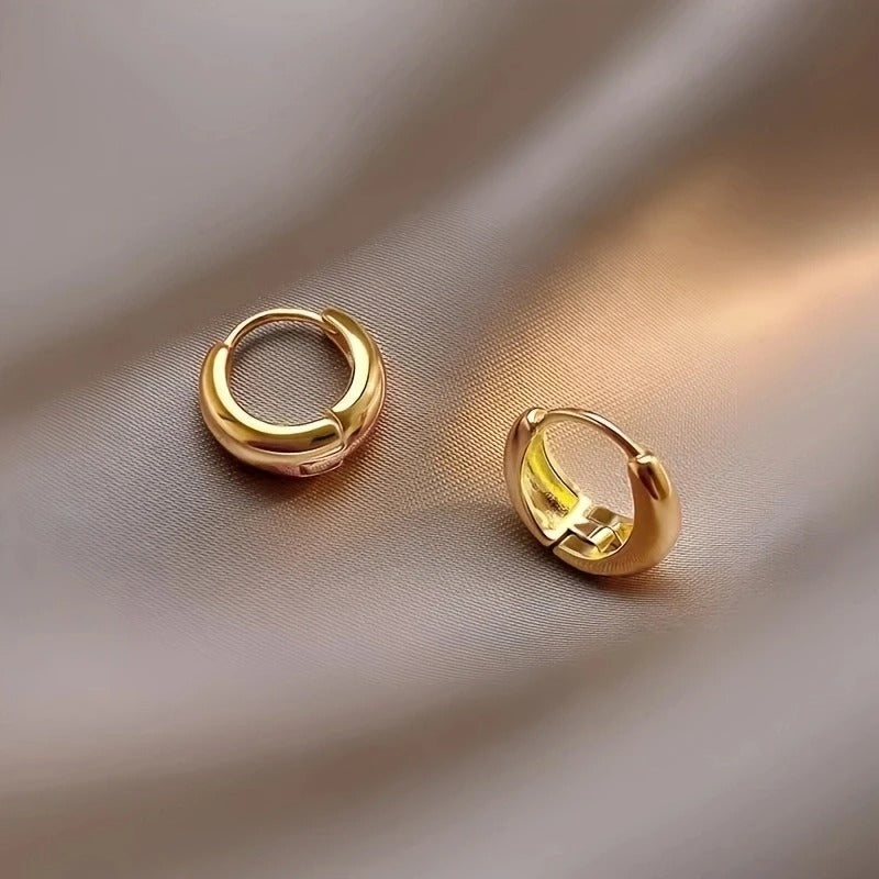 2Pcs Elegant Stainless Steel French Hoop Earrings Women Fashion