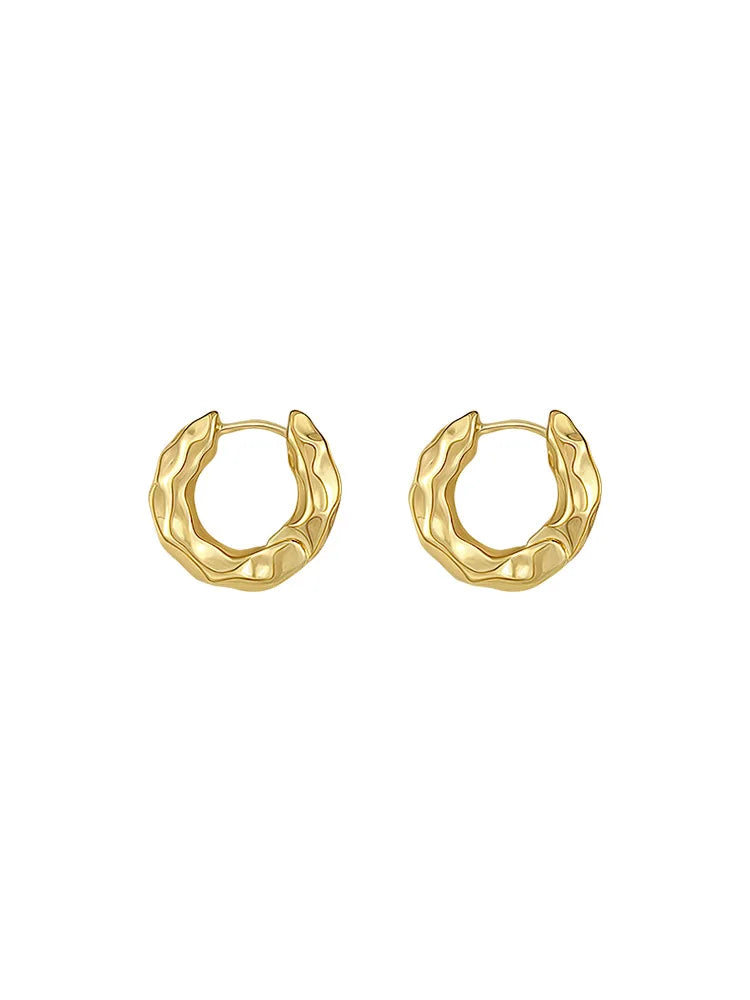 New Hot Sell Trendy 925 Sterling Silver Circle Earrings for Women Real Silver Ear Hoop Earrings