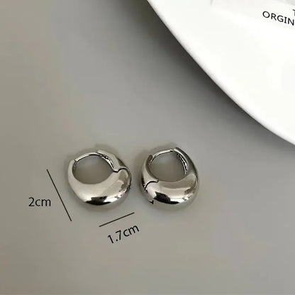 Stainless Steel Smooth Metal Chunky Hoop Earrings For Women Girls Fashion Round Circle Hoops Statement Earrings Punk Jewelry