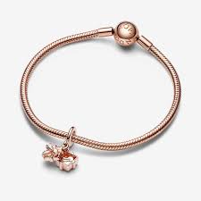 Pandora Openable Birthday Gift Charm & Bracelet Set