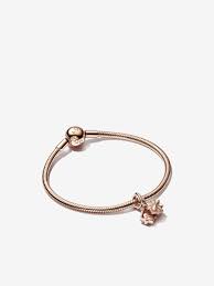 Pandora Openable Birthday Gift Charm & Bracelet Set