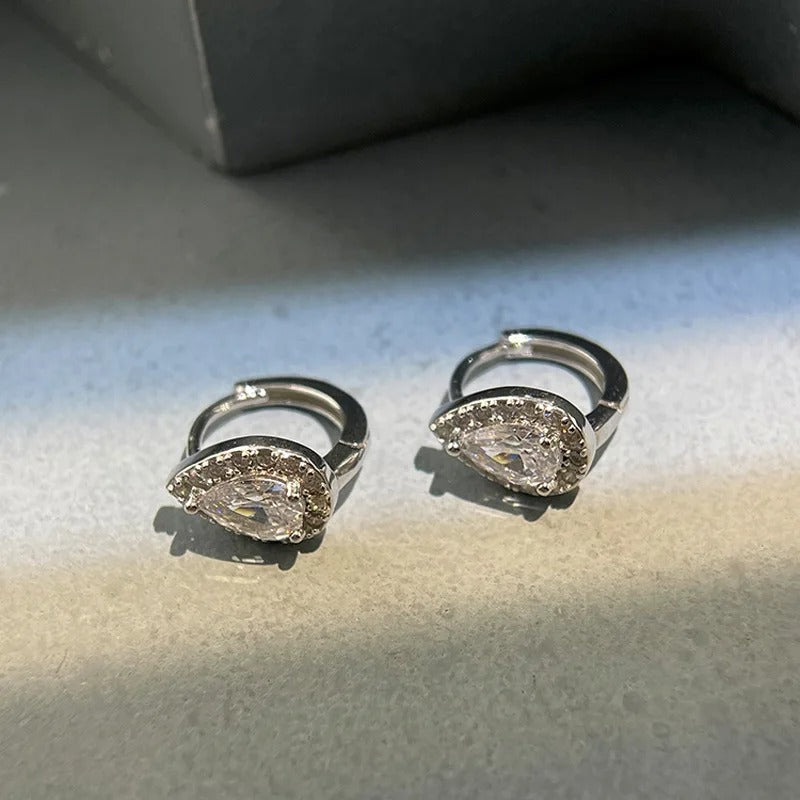 Women’s Silver Shiny Zircon Water Drop Earrings Birthday Jewelry