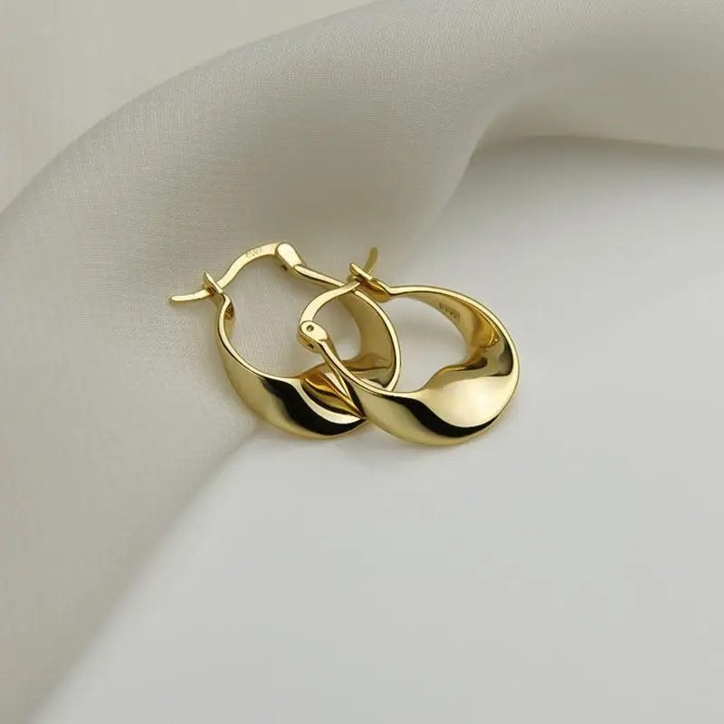 925 Sterling Silver Irregular Shape Earrings Women Birthday Gift
