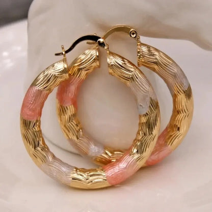 Golden Hoop Earrings  Style Alloy Earrings Exquisite Gift Women's Daily Casual Earrings