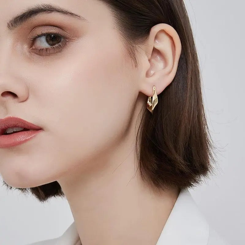 925 Sterling Silver Irregular Shape Earrings Women Birthday Gift