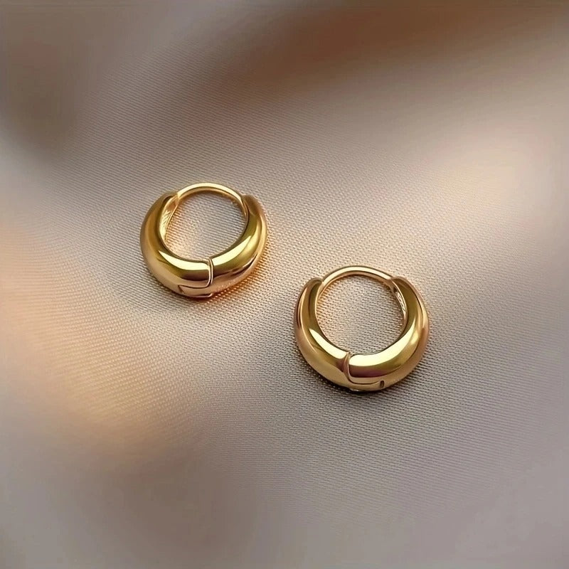 2Pcs Elegant Stainless Steel Hypoallergenic French Hoop Earrings,Comfort Retro Sexy Design,Christmas Gifts for Fashionable Women