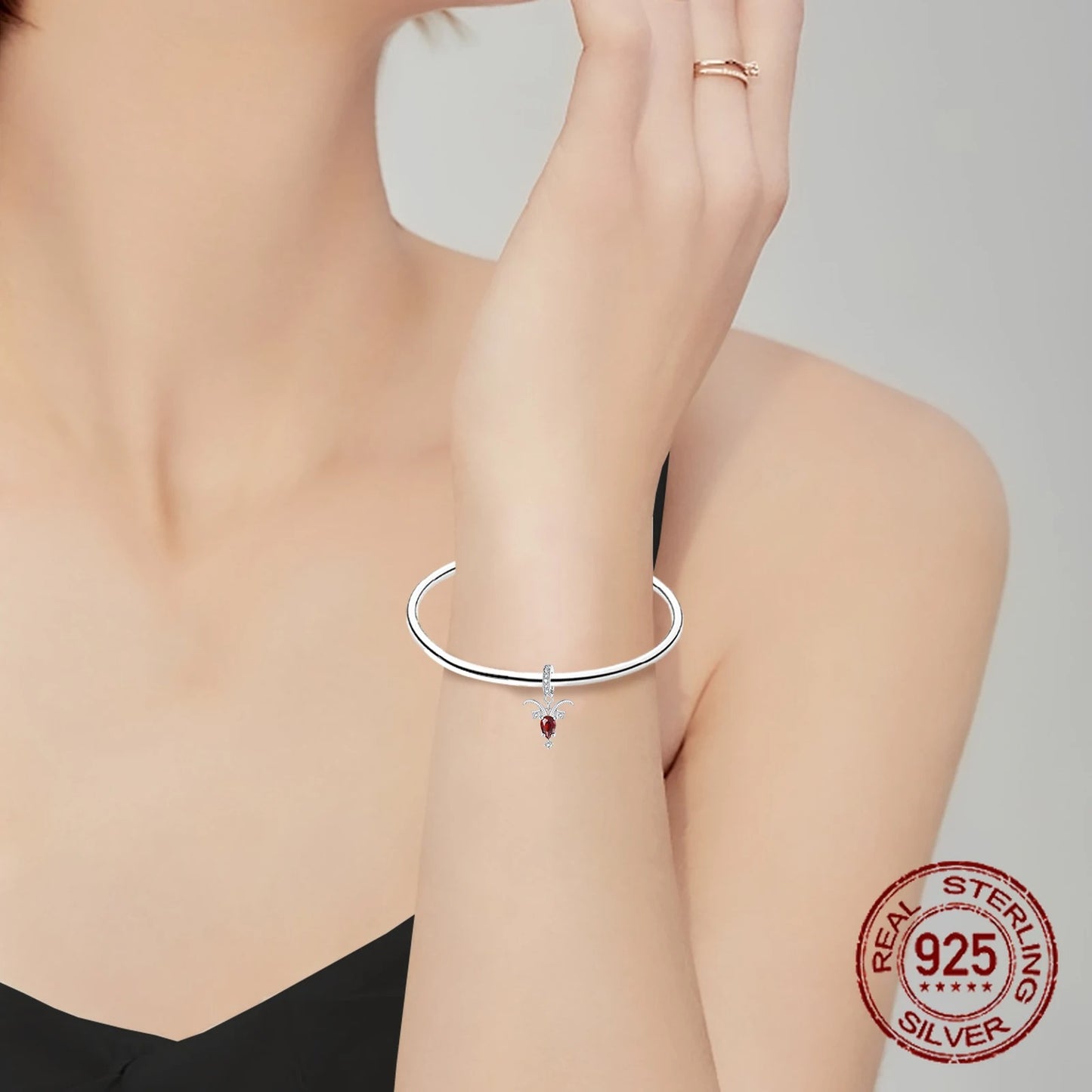 925 Sterling Silver 12 Constellations Capricorn Red Zircon Pendant Charm Fit Original Charm Bracelets Women