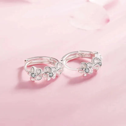 Women’s Crystal Zircon Stud Earrings 925 Sterling Silver Fashion
