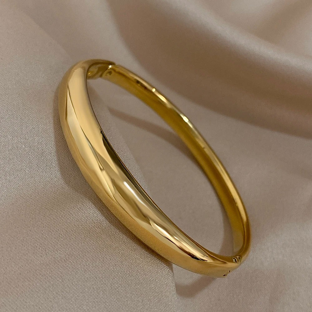 Minimalist Smooth Chunk Stainless Steel Gold & Silver Round Bangle for Women