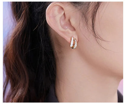 Sterling Silver Zircon Stud Earrings Women Fashion Jewelry