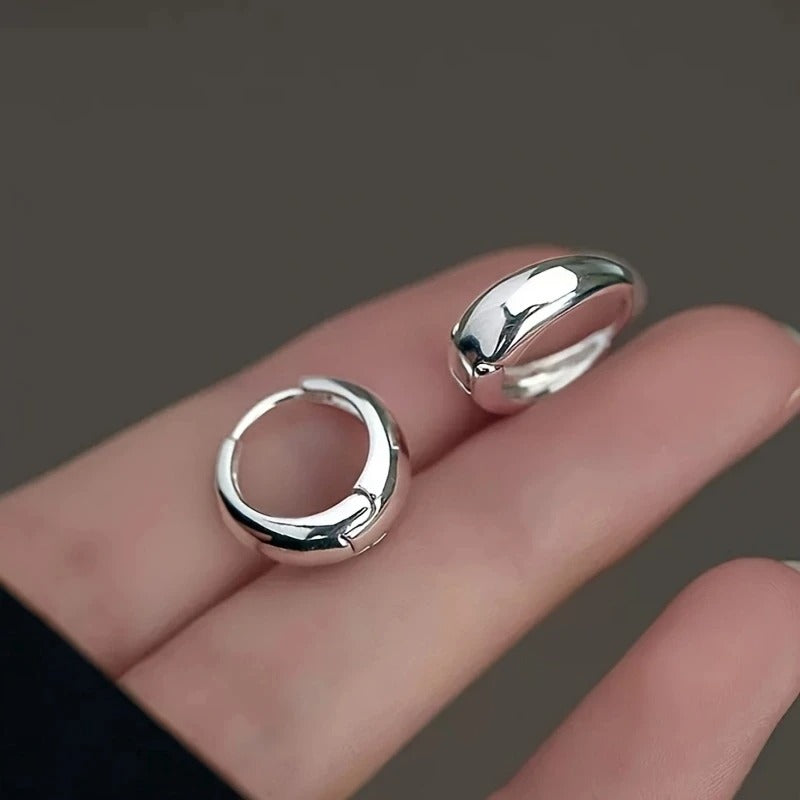 2Pcs Elegant Stainless Steel French Hoop Earrings Women Fashion