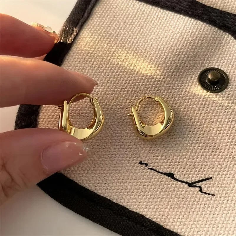 925 Sterling Silver Hoops Earrings for Women Fashion Simple Chunky Round Circle Drop Earring Prevent Allergy Jewelry Party Gifts